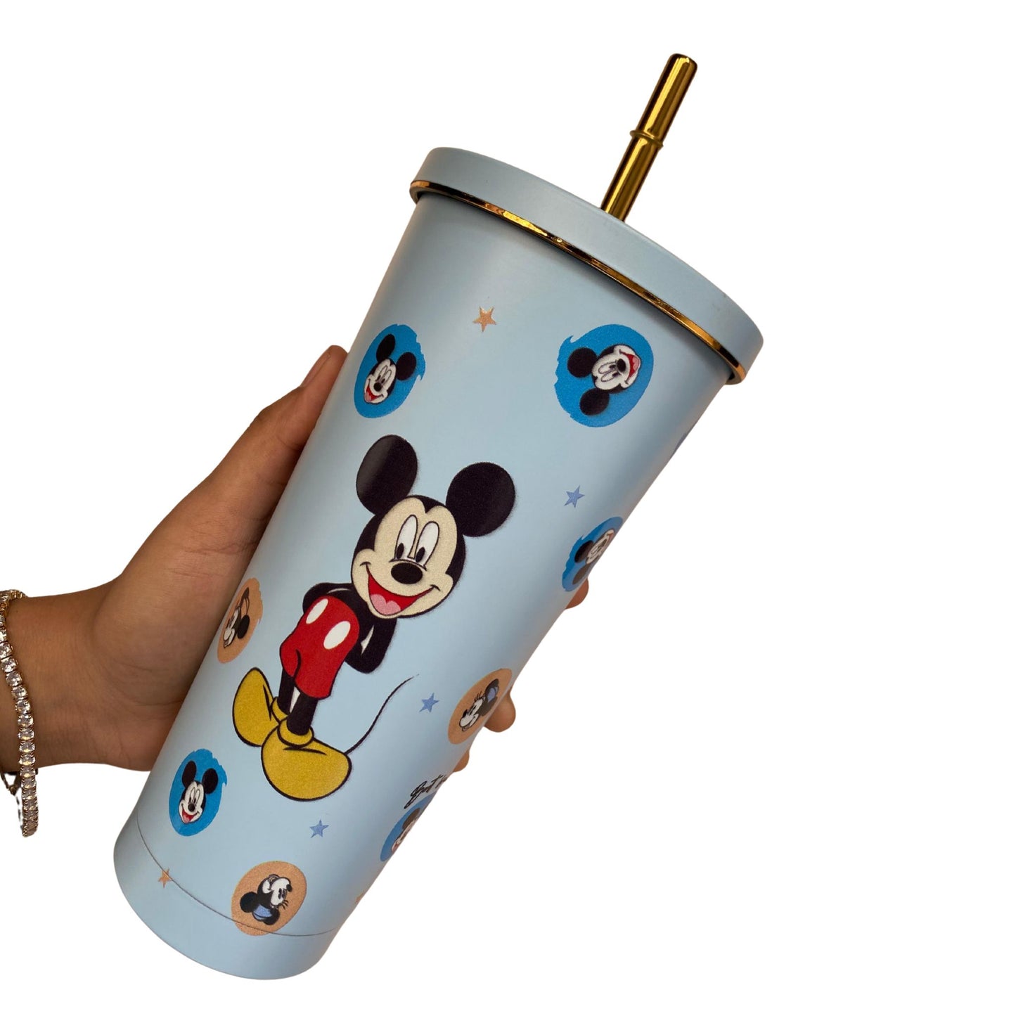 Disney Asthetic Insulated Steel Tumbler With Steel Straw