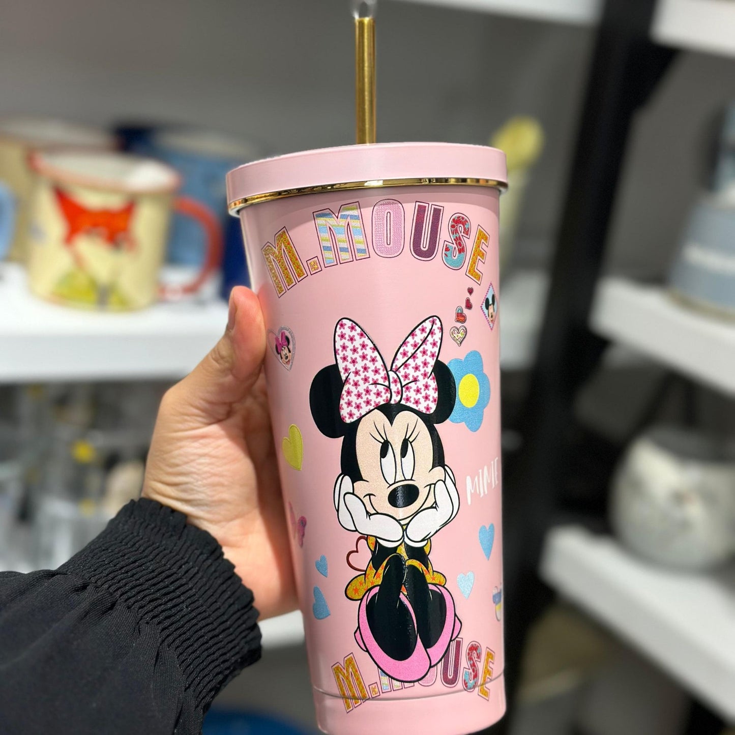 Disney Asthetic Insulated Steel Tumbler With Steel Straw