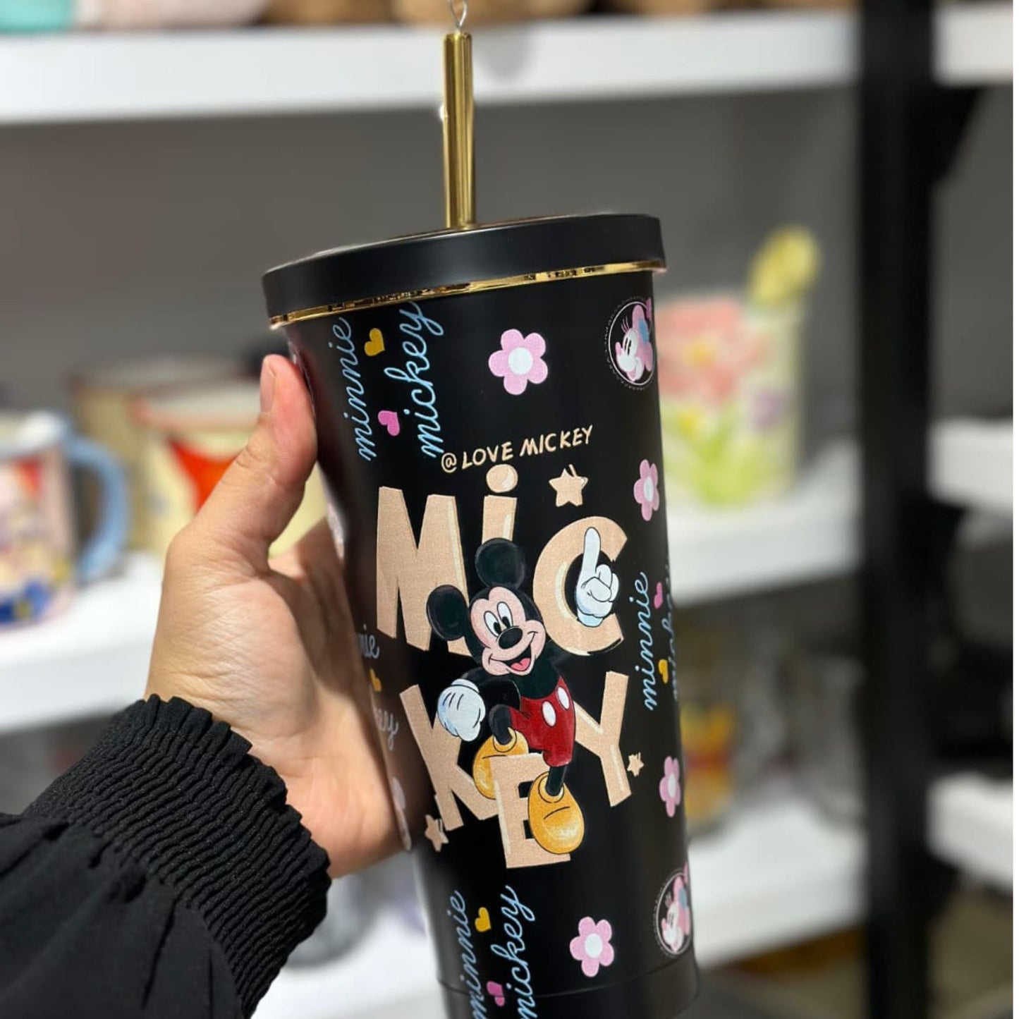 Disney Asthetic Insulated Steel Tumbler With Steel Straw