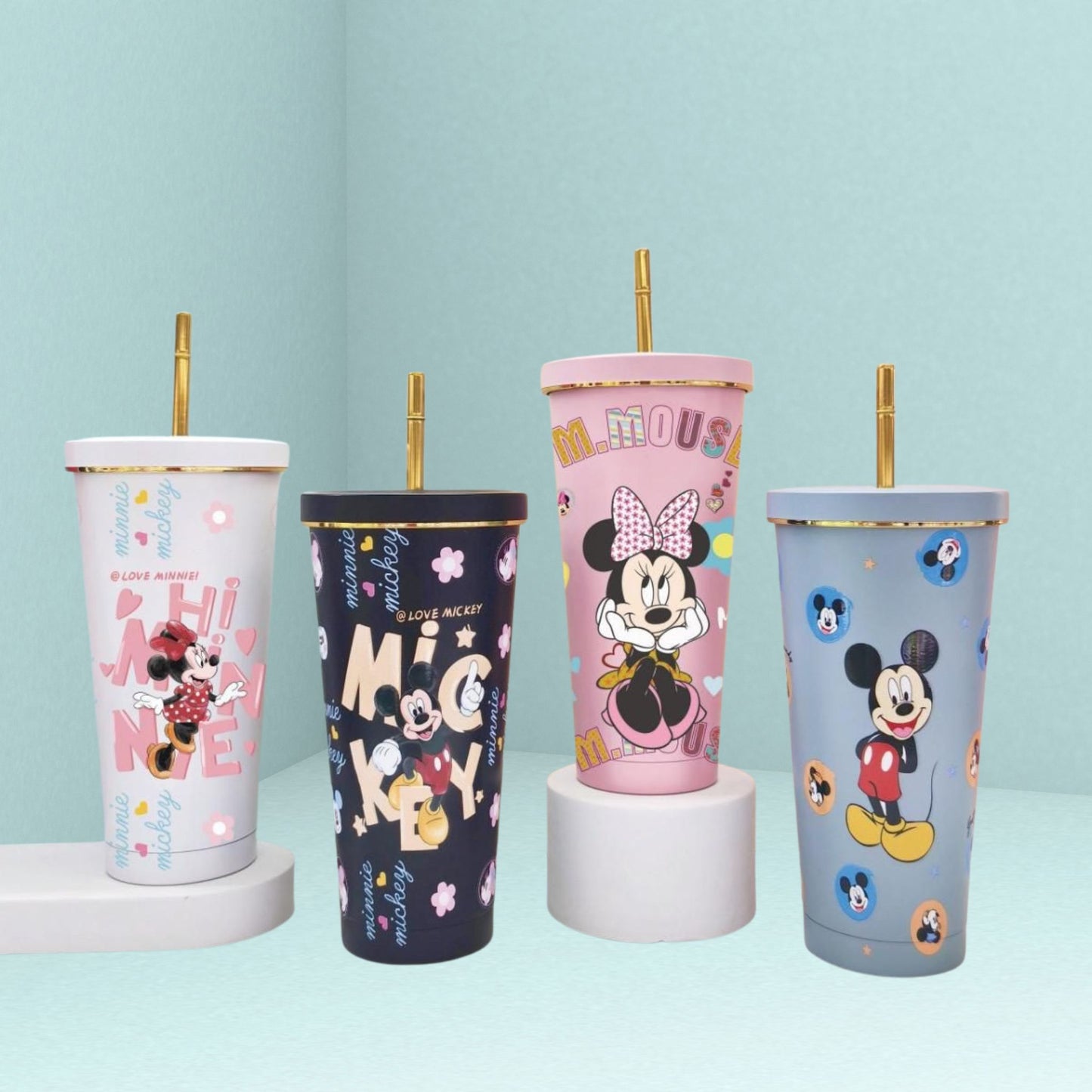 Disney Asthetic Insulated Steel Tumbler With Steel Straw