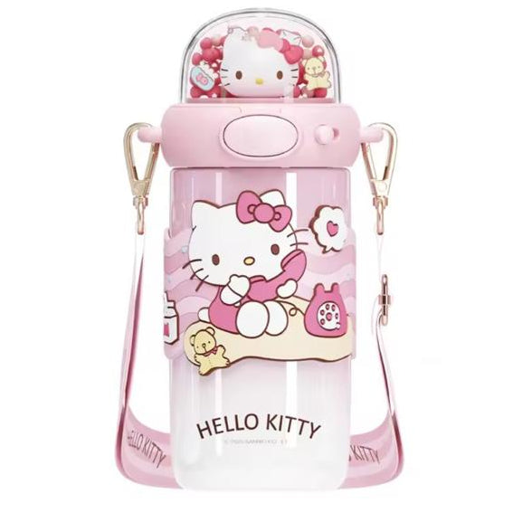 Sanrio Varient 4 Stainless Steel Water Bottle