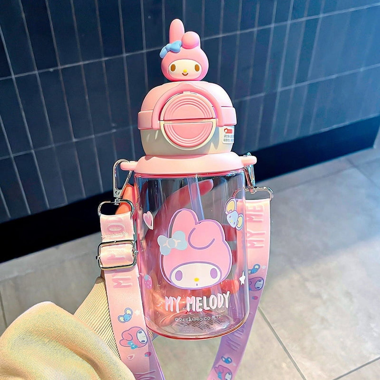 Sanrio Inspired Water Bottle