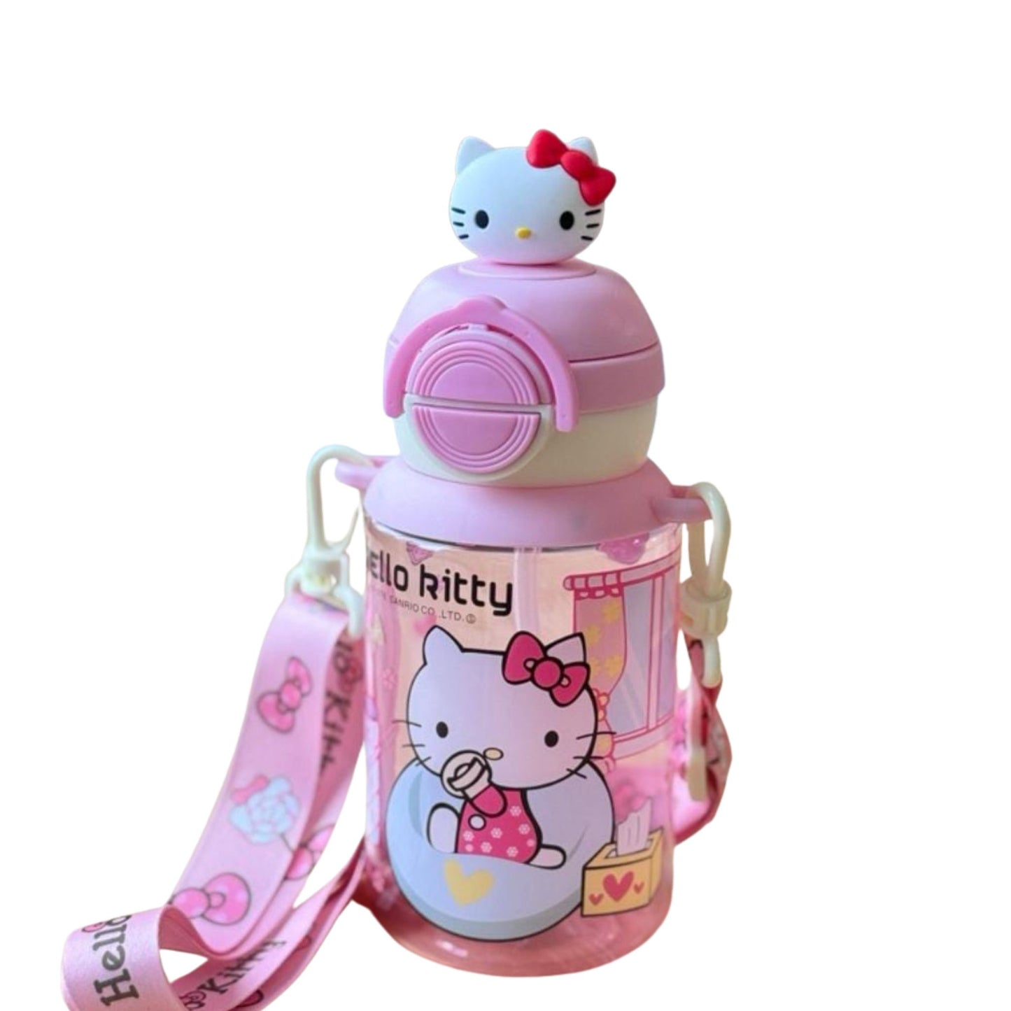 Sanrio Inspired Water Bottle