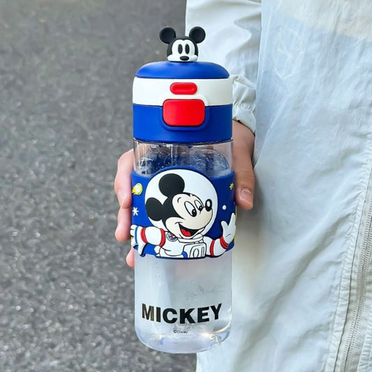 Character Water Bottles