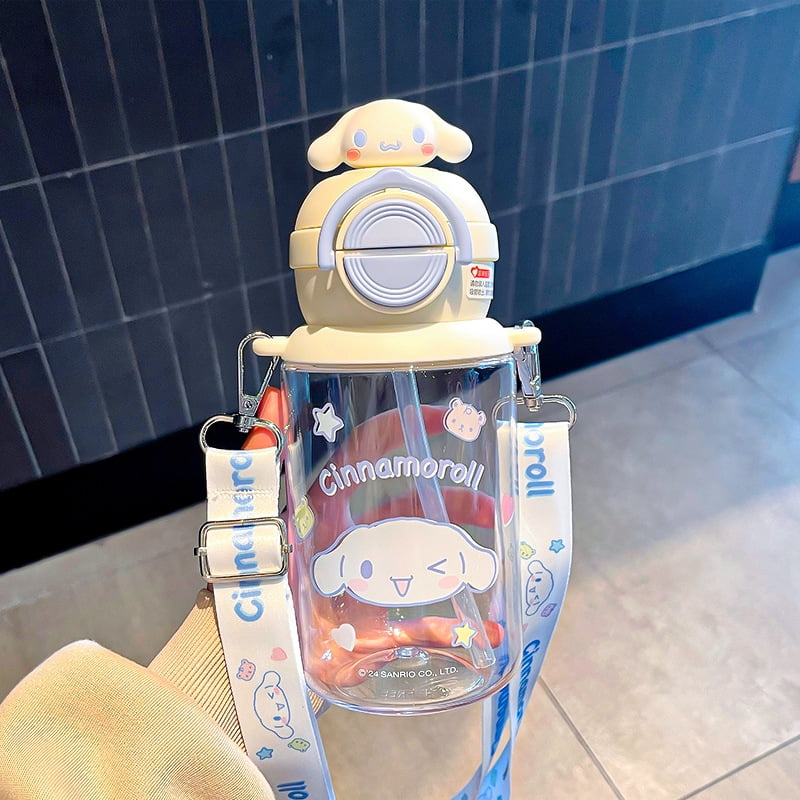 Sanrio Inspired Water Bottle