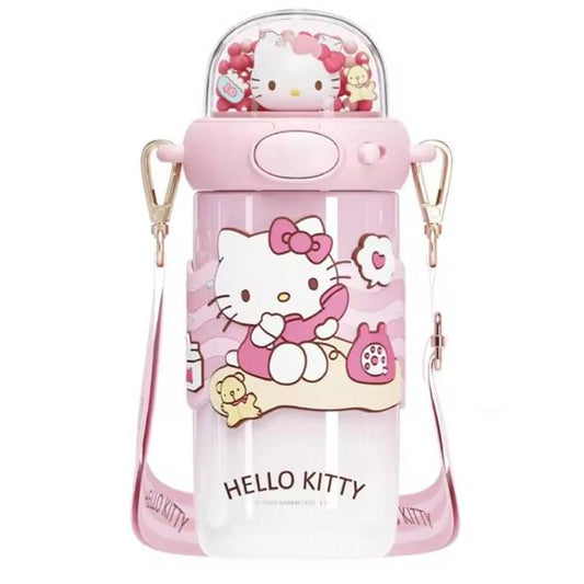 Sanrio Varient 4 Stainless Steel Water Bottle