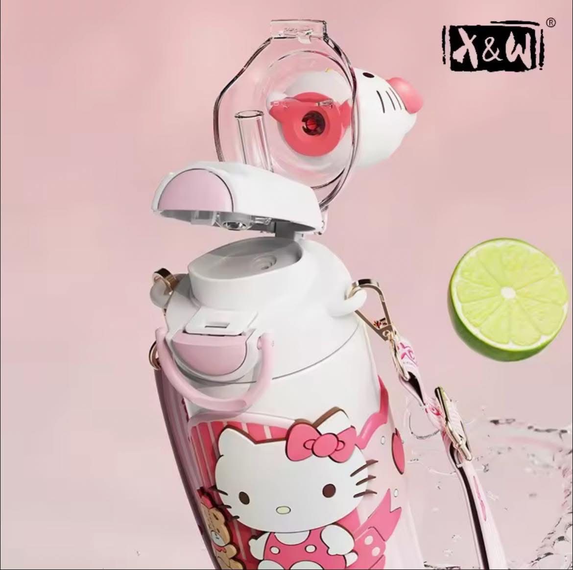 Sanrio Varient 2 Stainless Steel Water Bottle